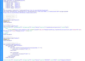 Code View
